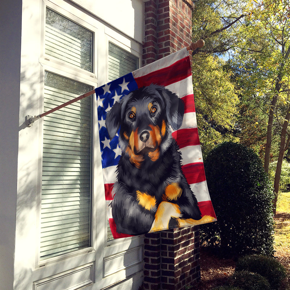 Beauceron American Flag Flag Canvas House Size CK6424CHF  the-store.com.
