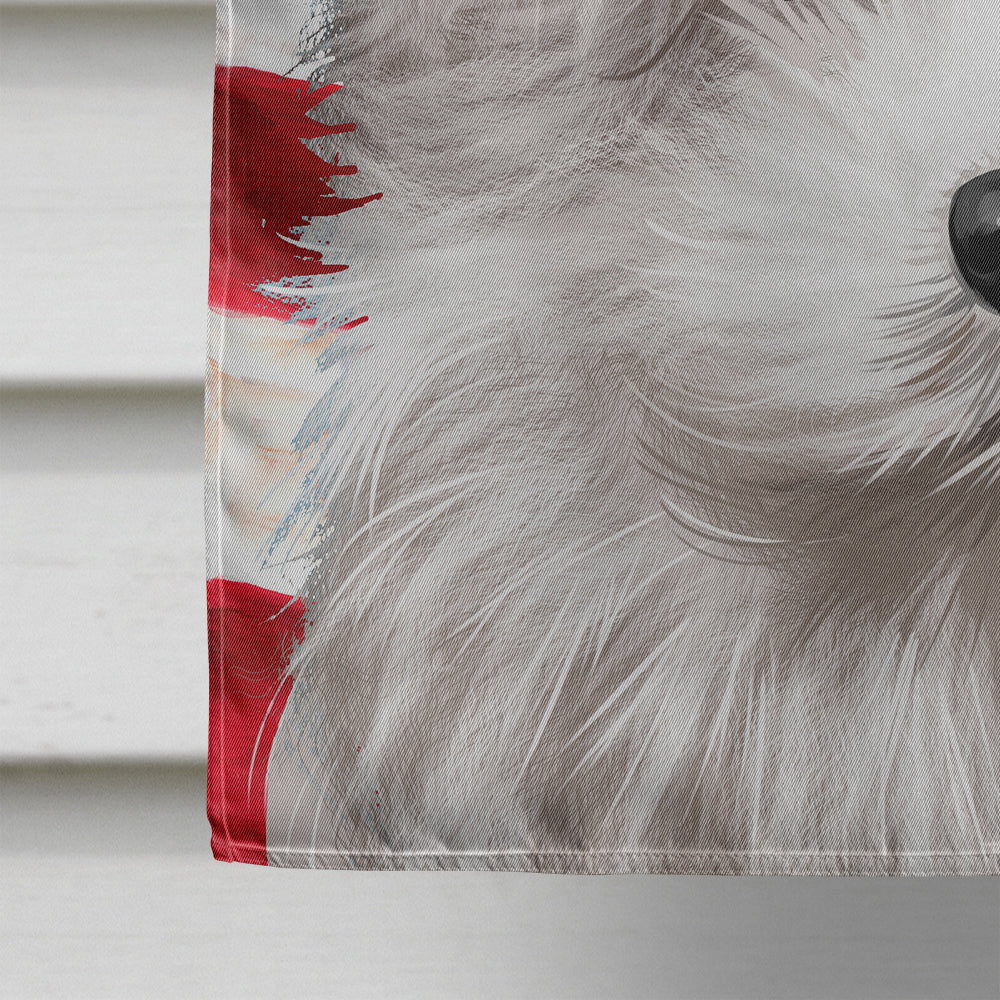 Bolognese Dog American Flag Flag Canvas House Size CK6446CHF