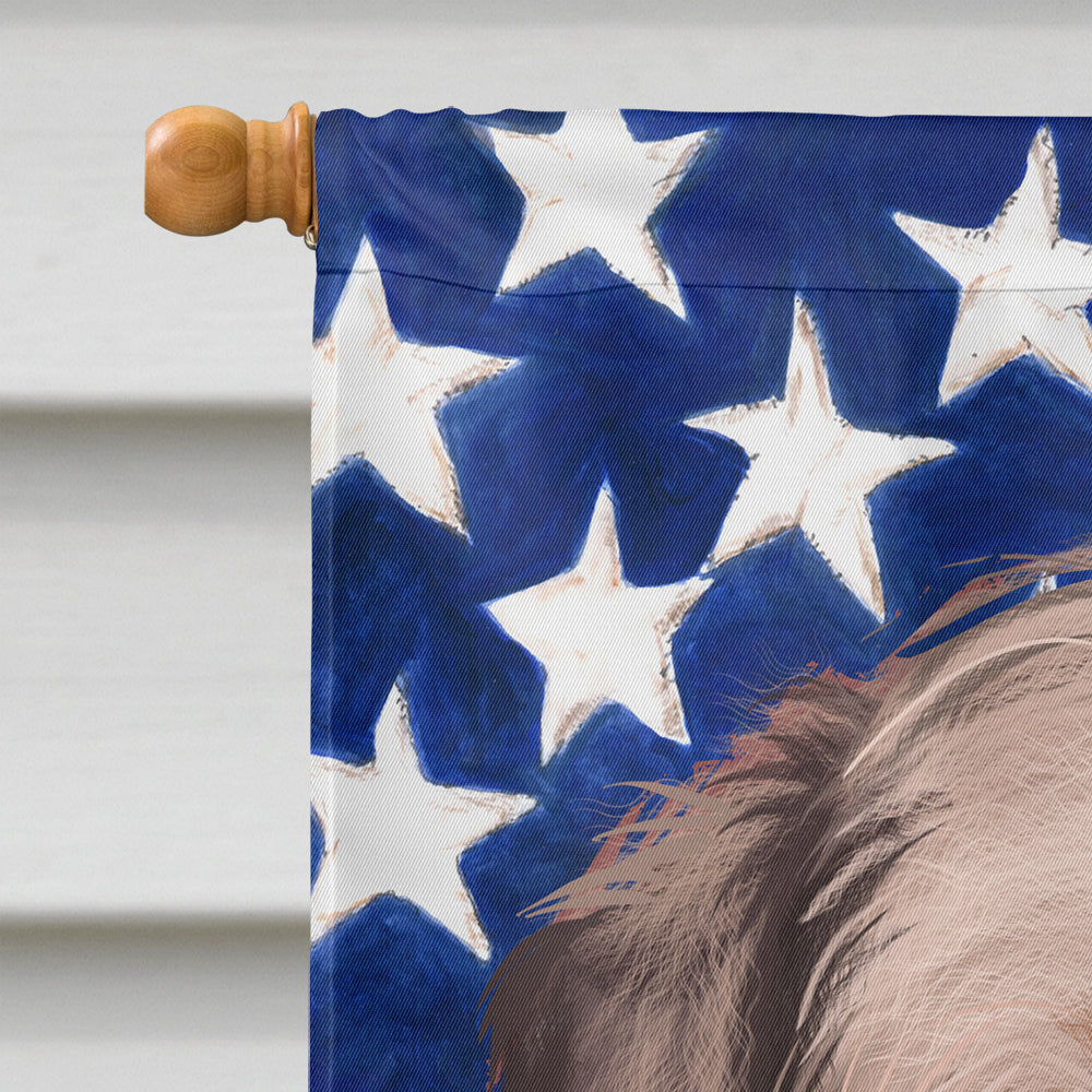 Border Terrier Dog American Flag Flag Canvas House Size CK6448CHF