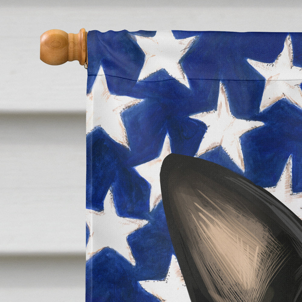 Boston Terrier Dog American Flag Flag Canvas House Size CK6451CHF