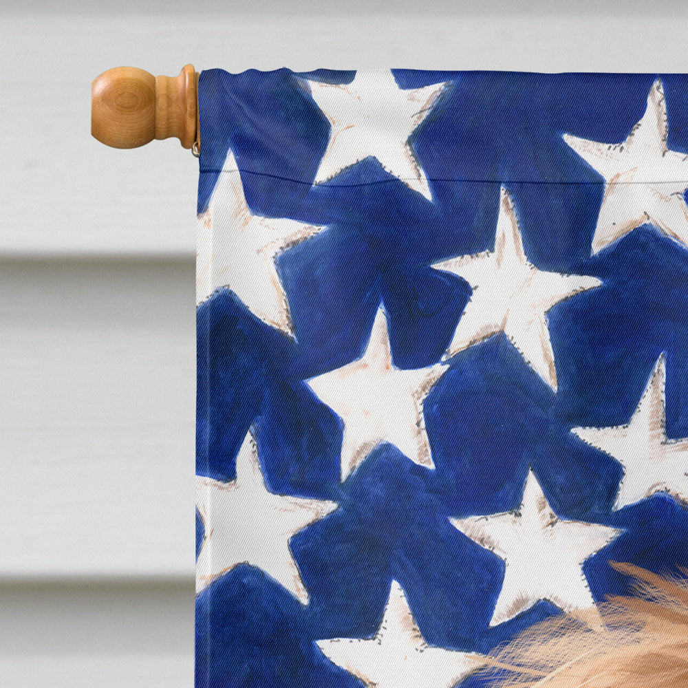 Briard Dog American Flag Flag Canvas House Size CK6461CHF