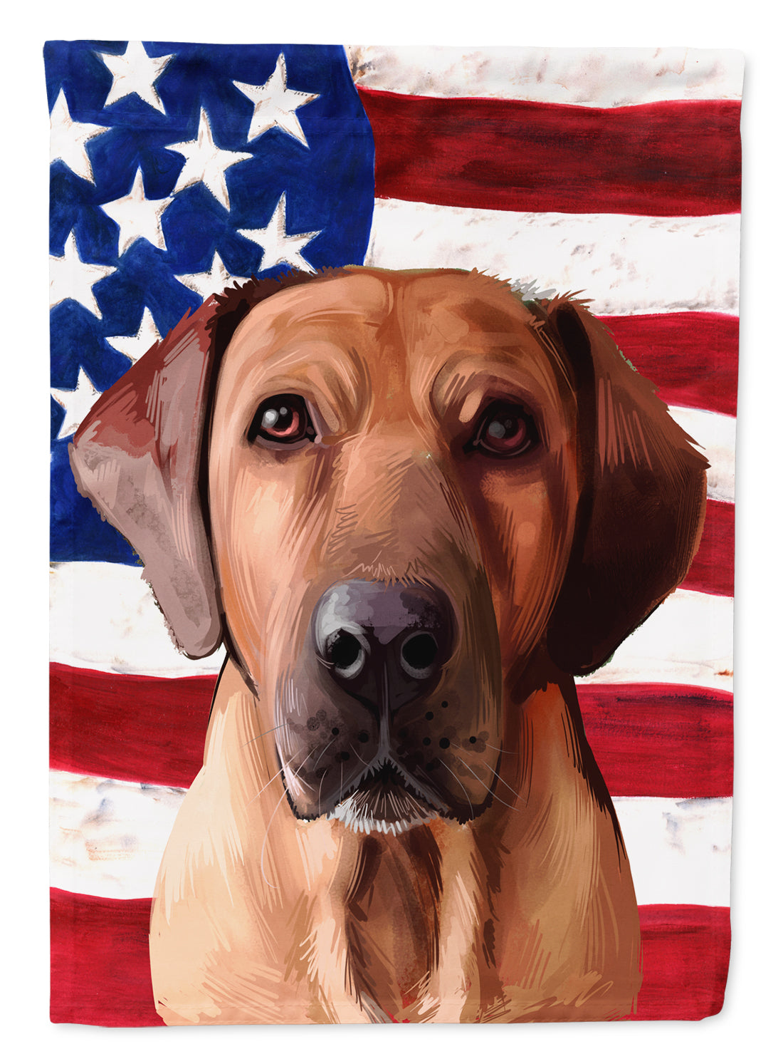 Broholmer Dog American Flag Flag Canvas House Size CK6463CHF