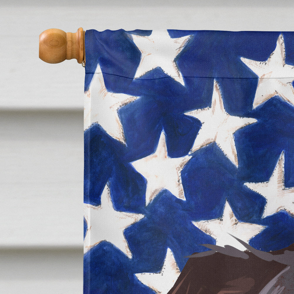 Bull Terrier Dog American Flag Flag Canvas House Size CK6467CHF