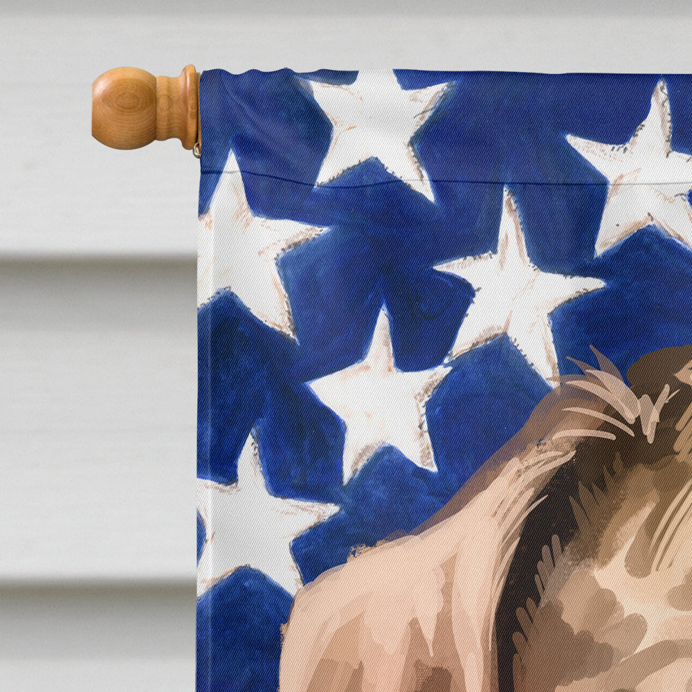 Catahoula Leopard Dog American Flag Flag Canvas House Size CK6479CHF