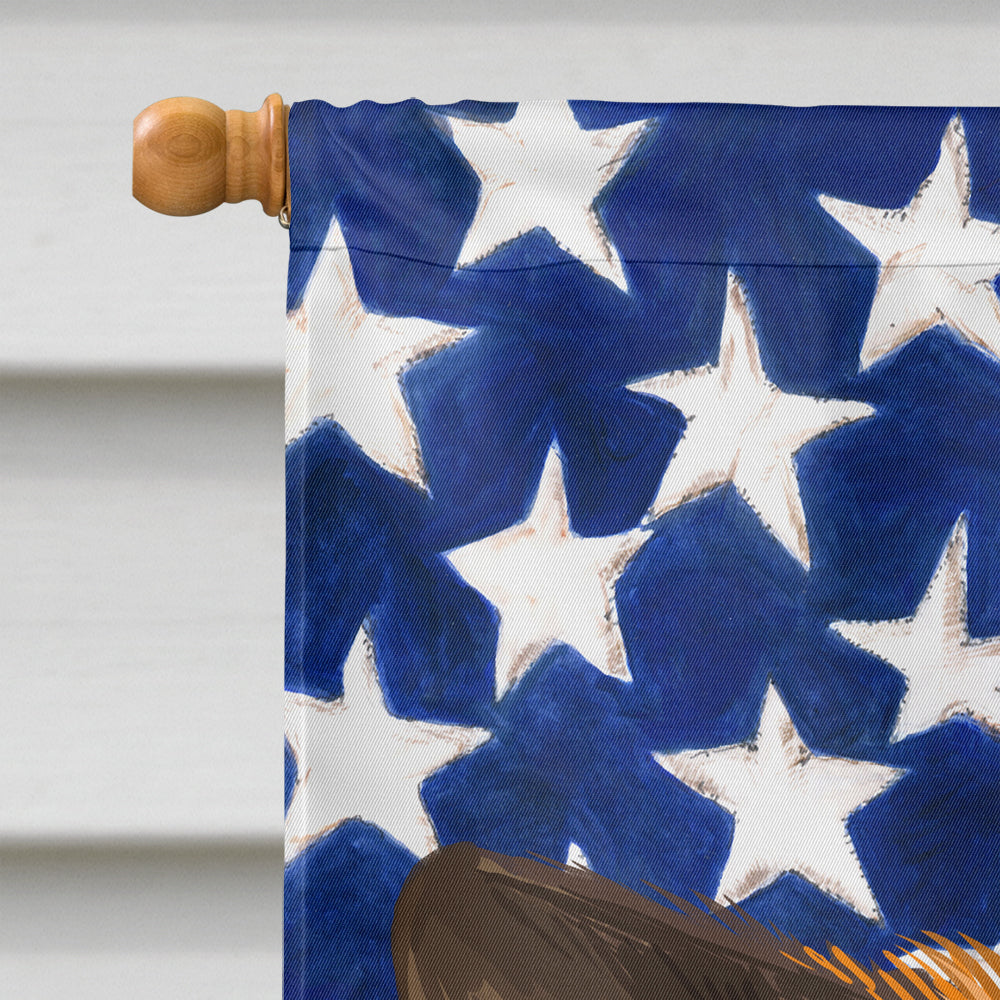 Chinook Dog American Flag Flag Canvas House Size CK6489CHF