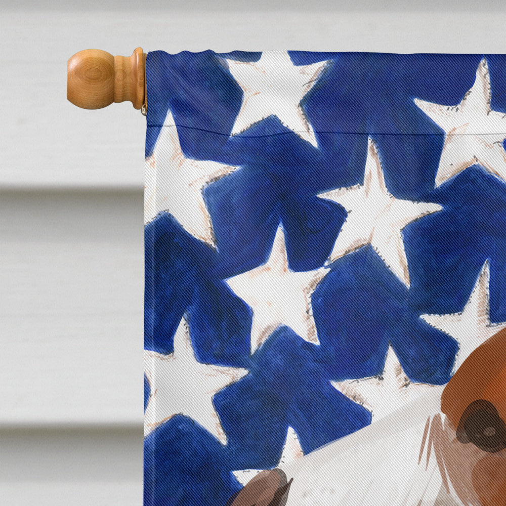 Drever Dog American Flag Flag Canvas House Size CK6506CHF