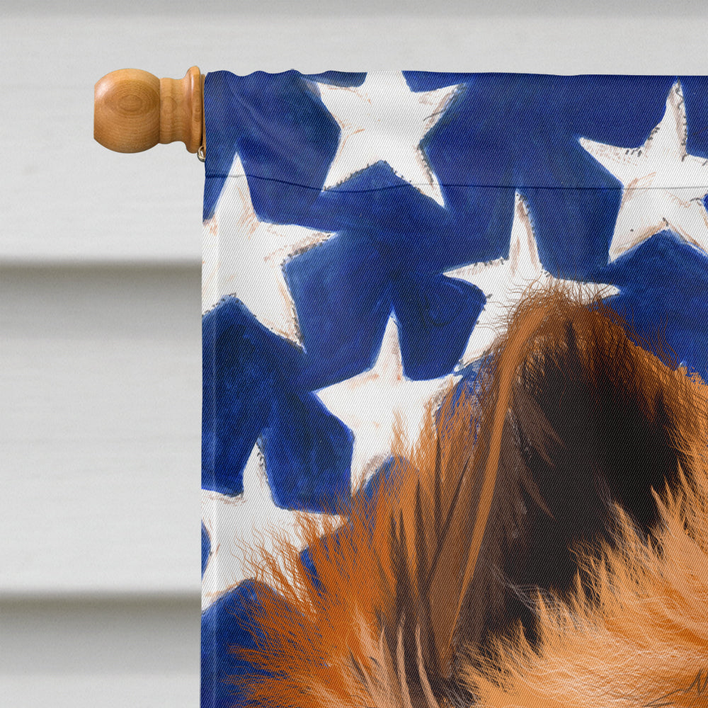 Eurasier Dog American Flag Flag Canvas House Size CK6519CHF