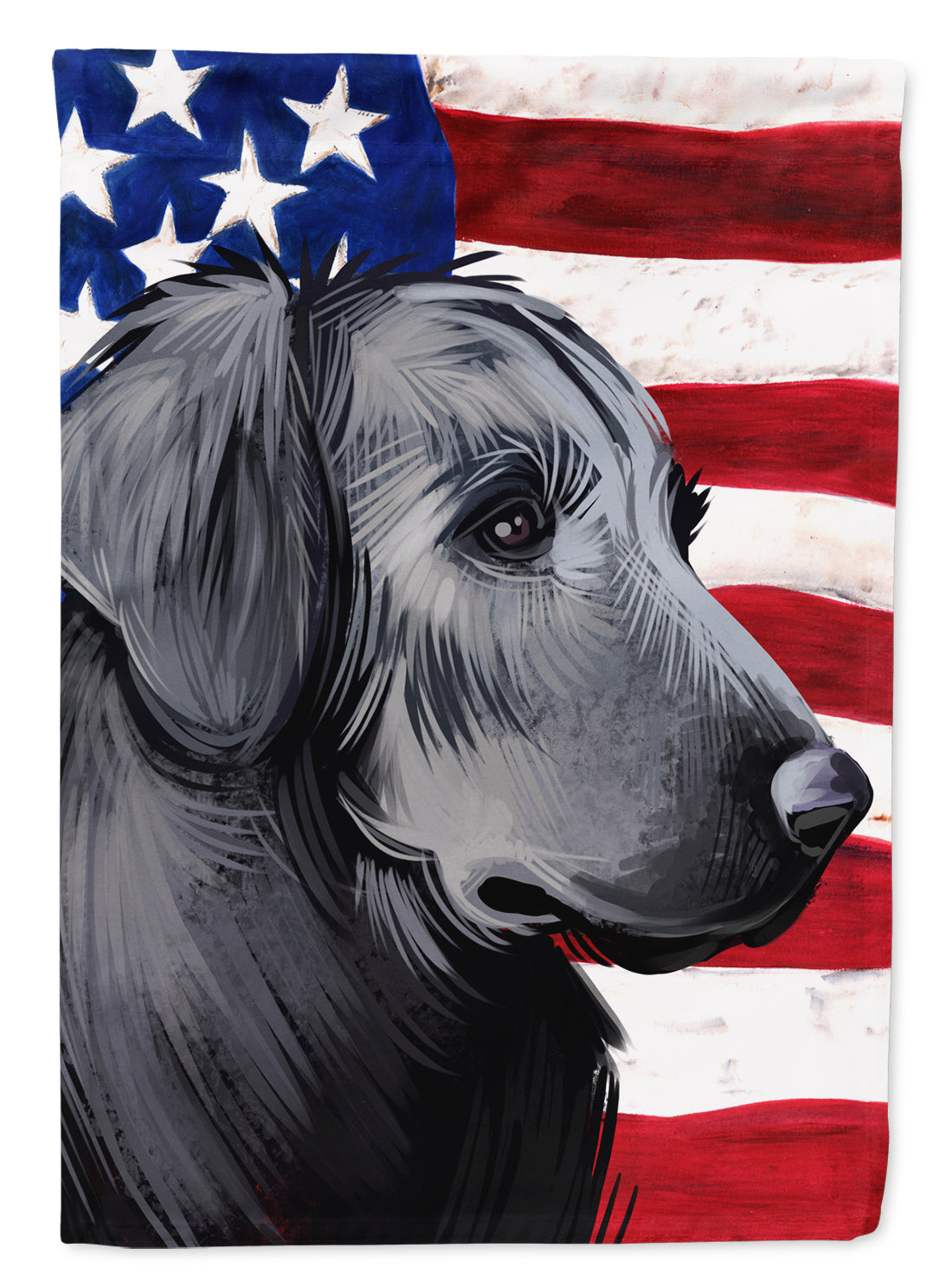Flat-Coated Retriever American Flag Flag Canvas House Size CK6526CHF  the-store.com.