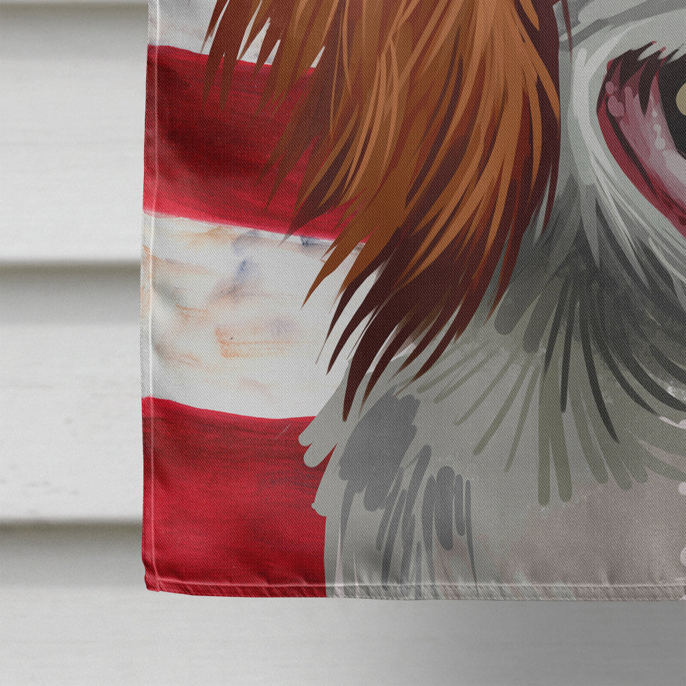 French Brittany Dog American Flag Flag Canvas House Size CK6529CHF