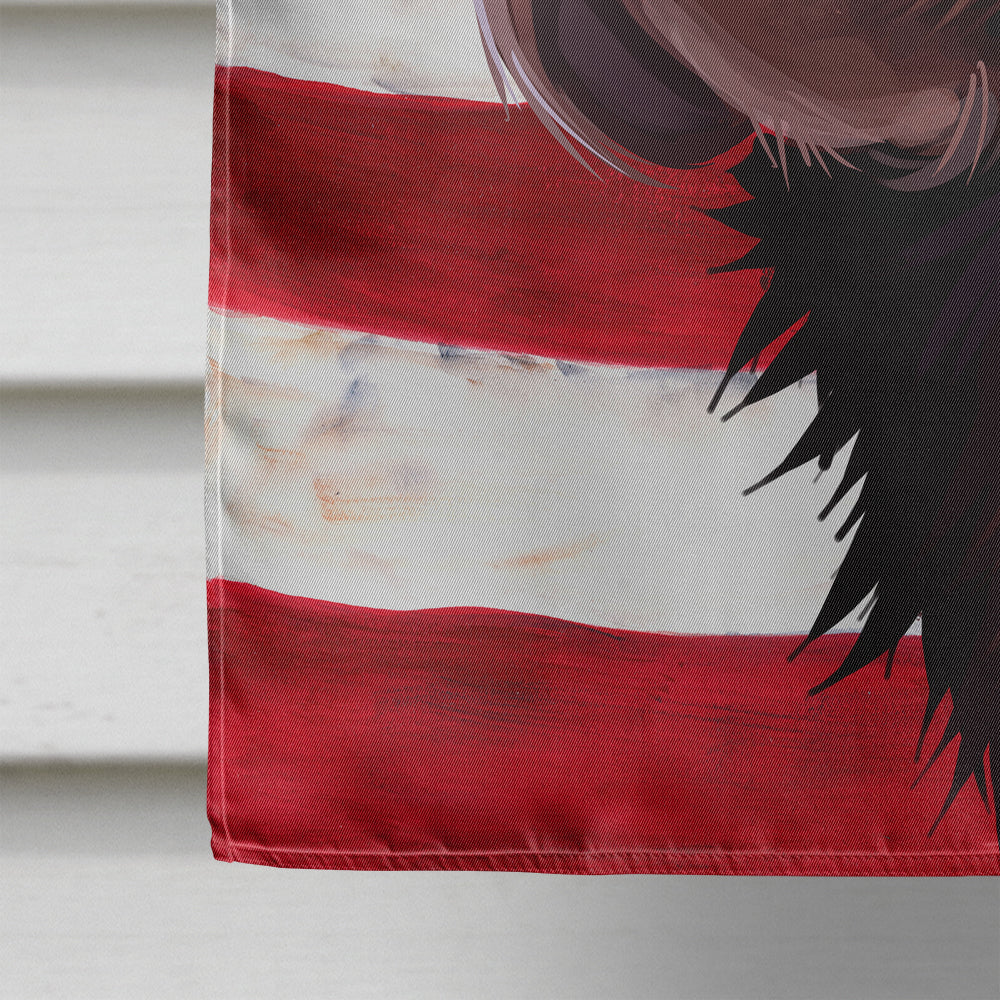German Longhaired Pointer American Flag Flag Canvas House Size CK6533CHF