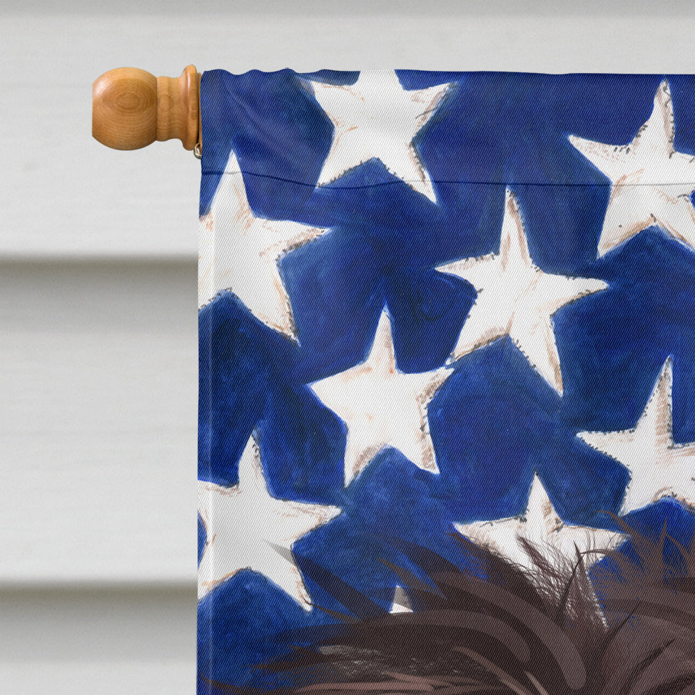 German Roughhaired Pointer American Flag Flag Canvas House Size CK6535CHF