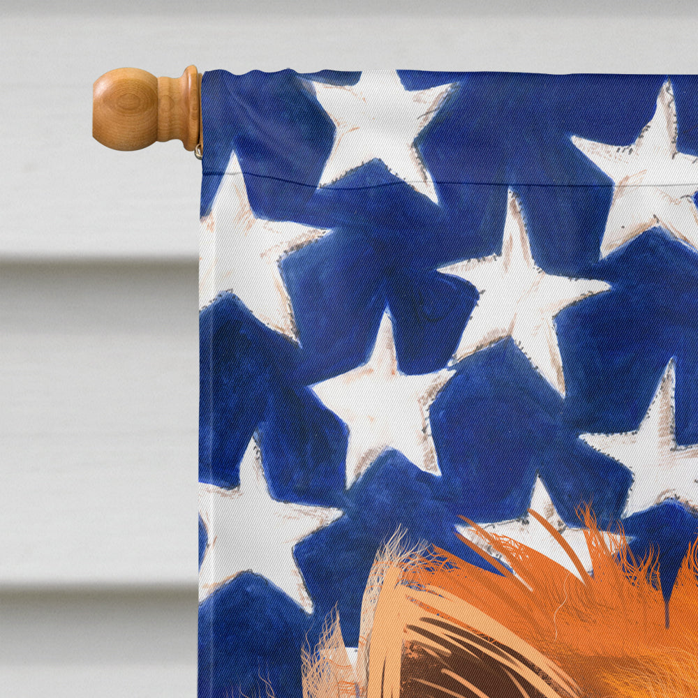German Spitz Dog American Flag Flag Canvas House Size CK6538CHF  the-store.com.