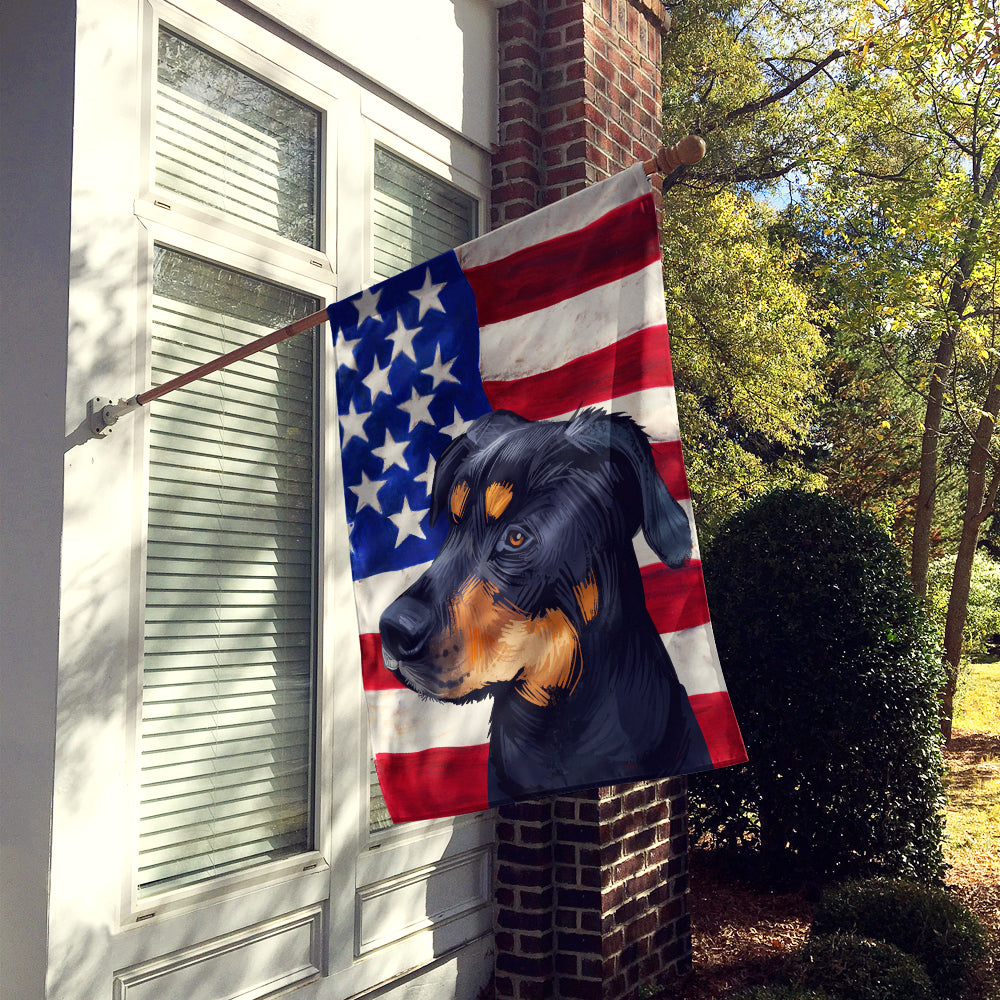 Greek Harehound Dog American Flag Flag Canvas House Size CK6549CHF