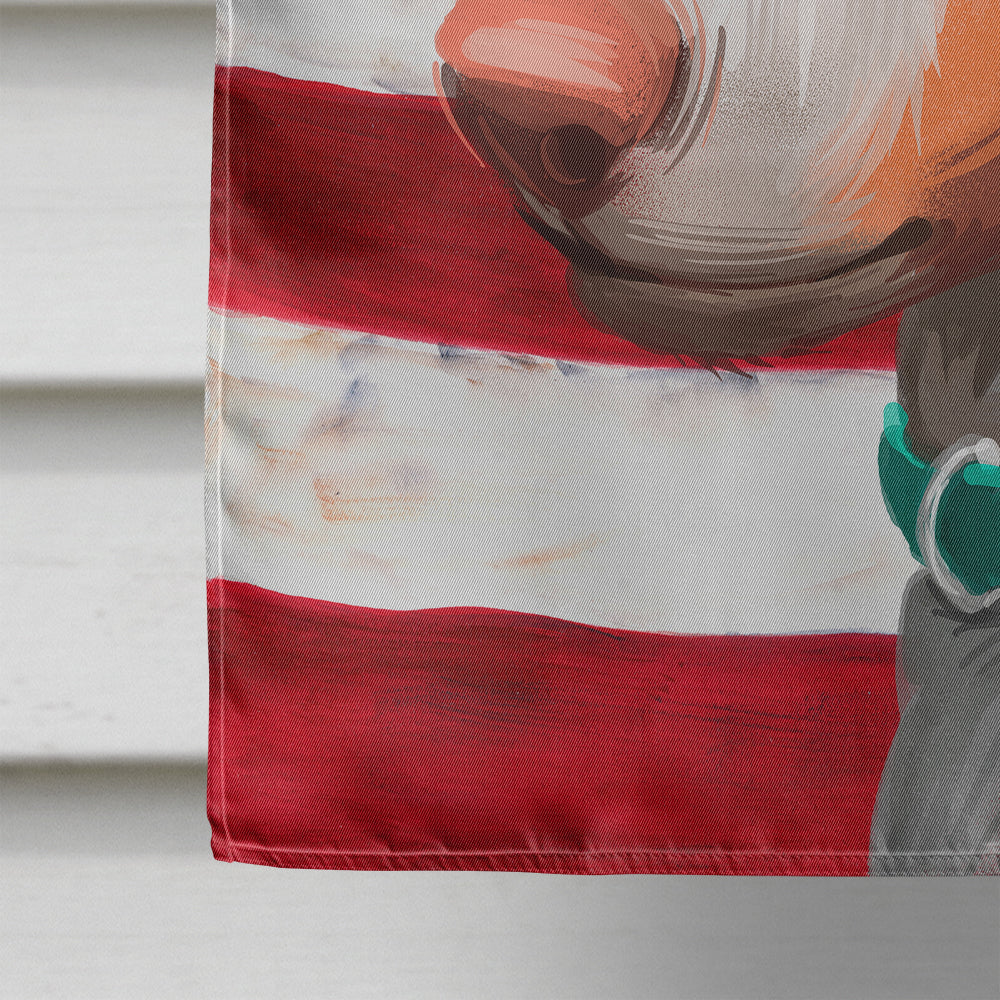 Ibizan Hound Dog American Flag Flag Canvas House Size CK6565CHF