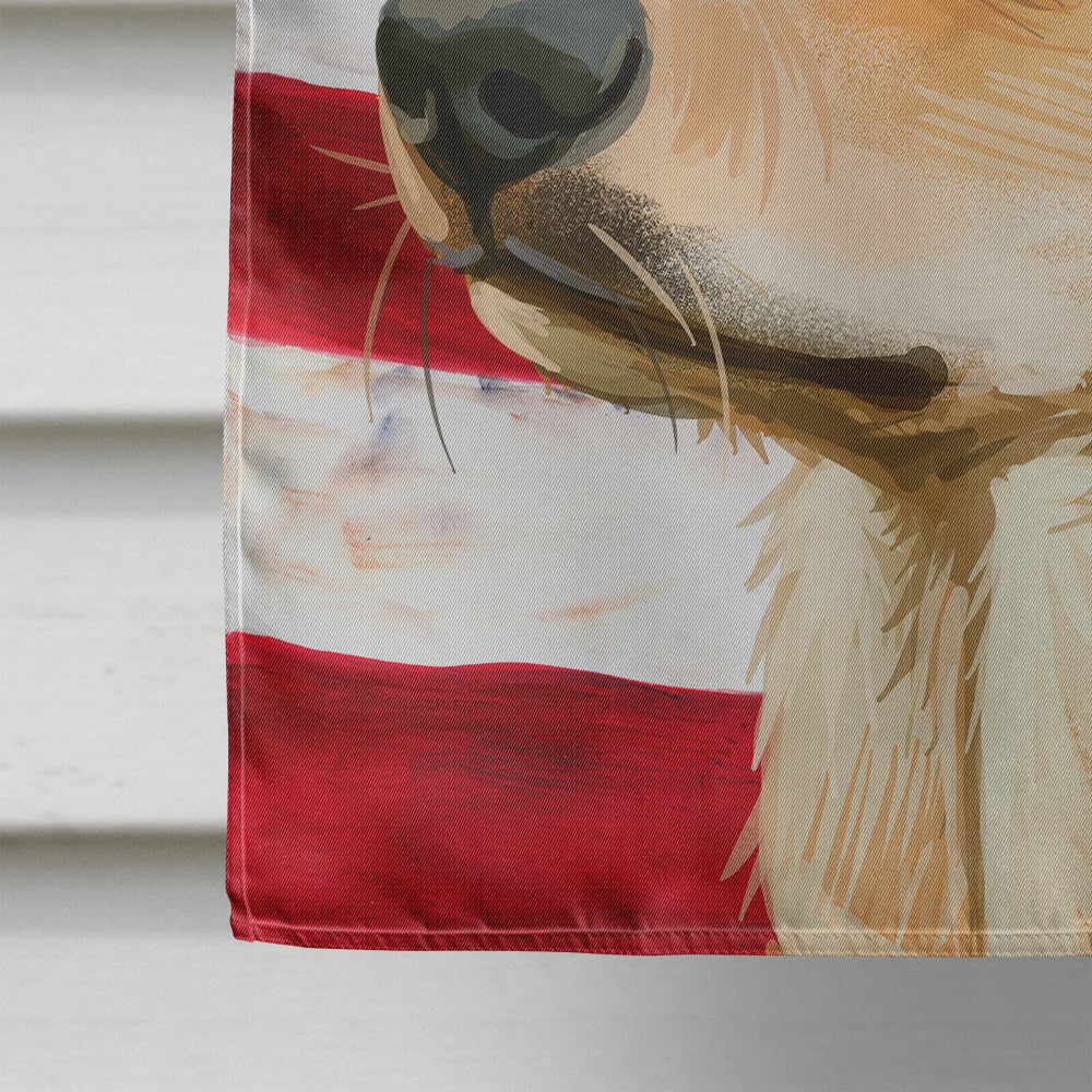 Indian pariah dog American Flag Flag Canvas House Size CK6567CHF  the-store.com.