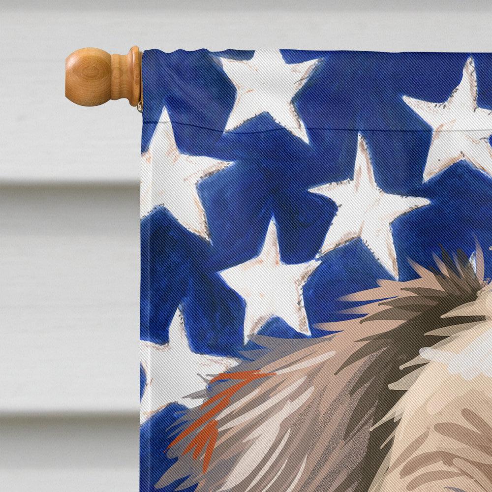 Irish Terrier American Flag Flag Canvas House Size CK6571CHF