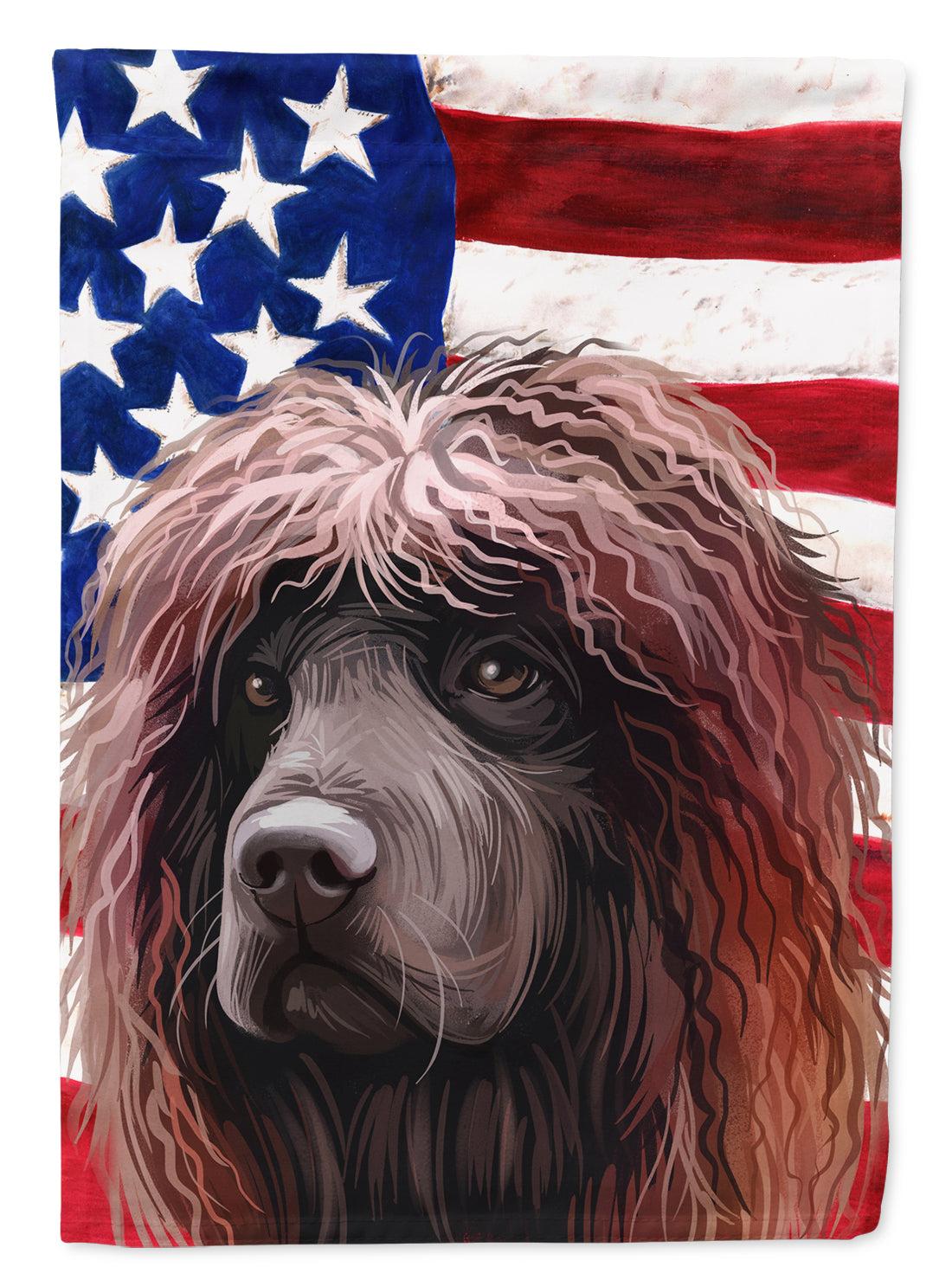 Irish Water Spaniel American Flag Flag Canvas House Size CK6572CHF  the-store.com.