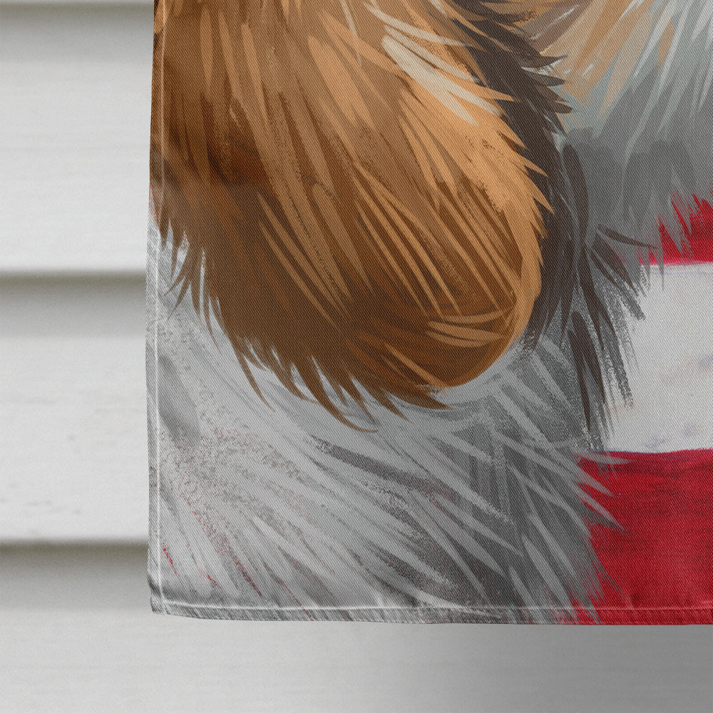Istrian Coarse-haired Hound American Flag Flag Canvas House Size CK6574CHF  the-store.com.