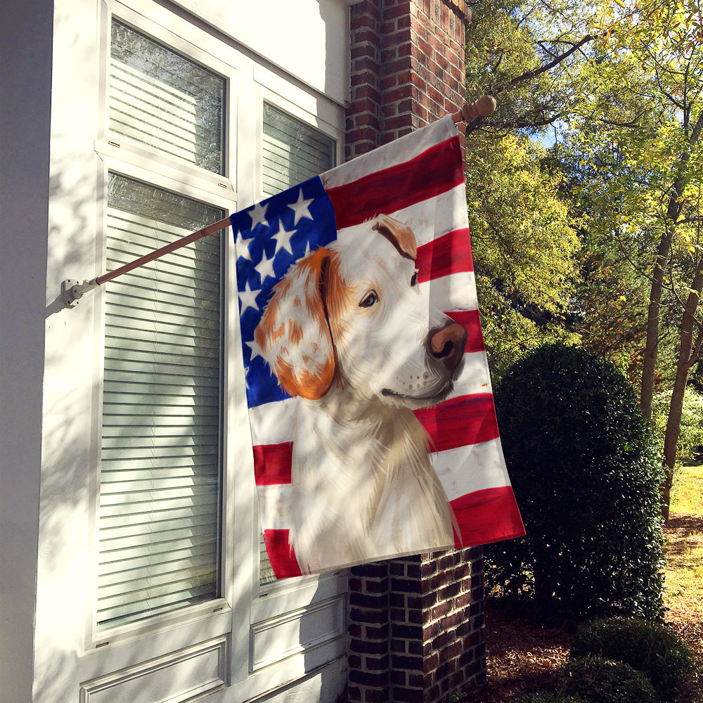 Istrian Shorthaired Hound American Flag Flag Canvas House Size CK6575CHF  the-store.com.