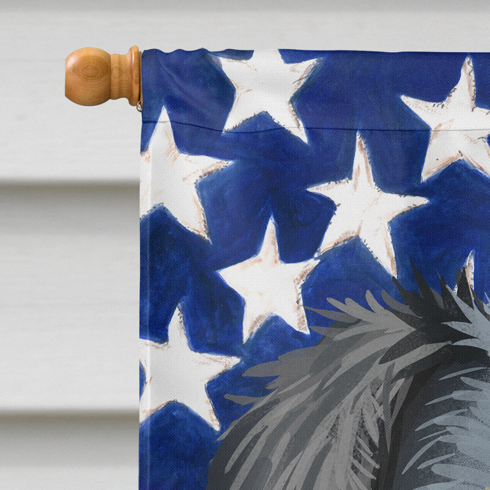 Jagdterrier American Flag Flag Canvas House Size CK6578CHF