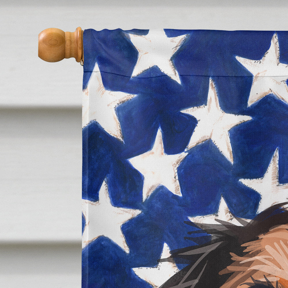 Kooikerhondje American Flag Flag Canvas House Size CK6595CHF