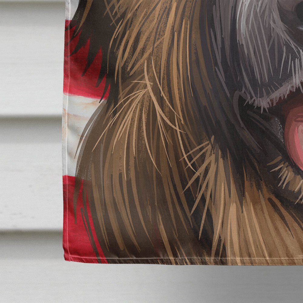 Leonberger American Flag Flag Canvas House Size CK6606CHF  the-store.com.