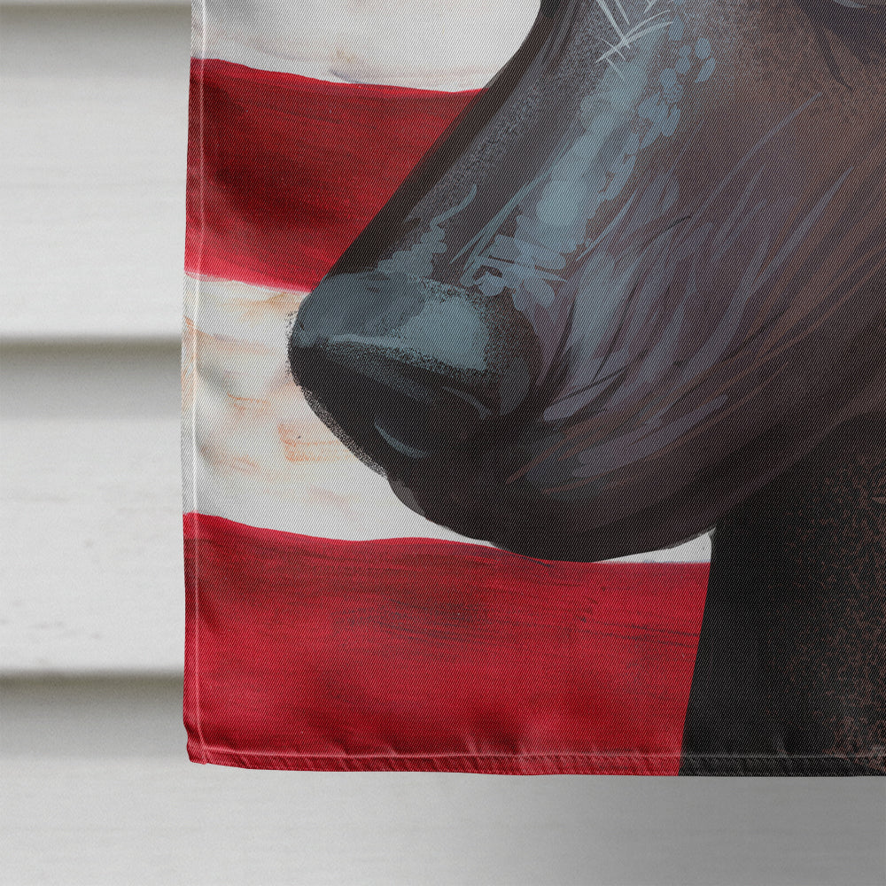 Mexican Hairless Dog American Flag Flag Canvas House Size CK6614CHF  the-store.com.