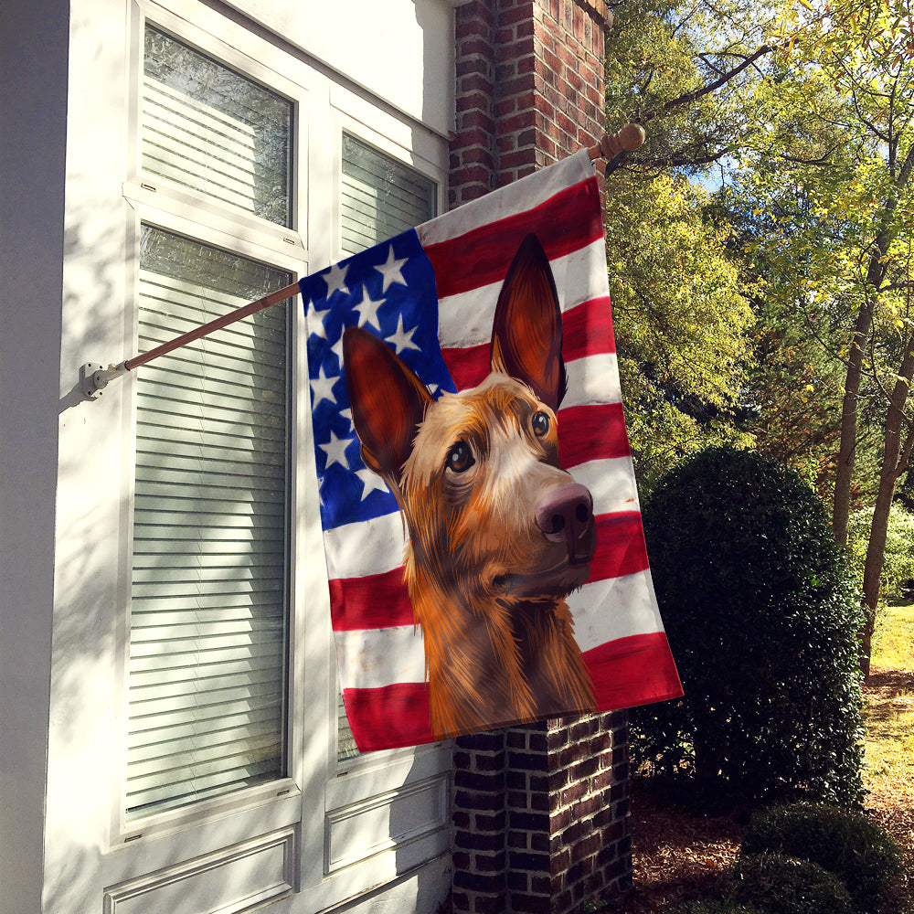 Caroline's Treasures Pharaoh Hound Dog American Flag Flag Canvas House Size CK6643CHF