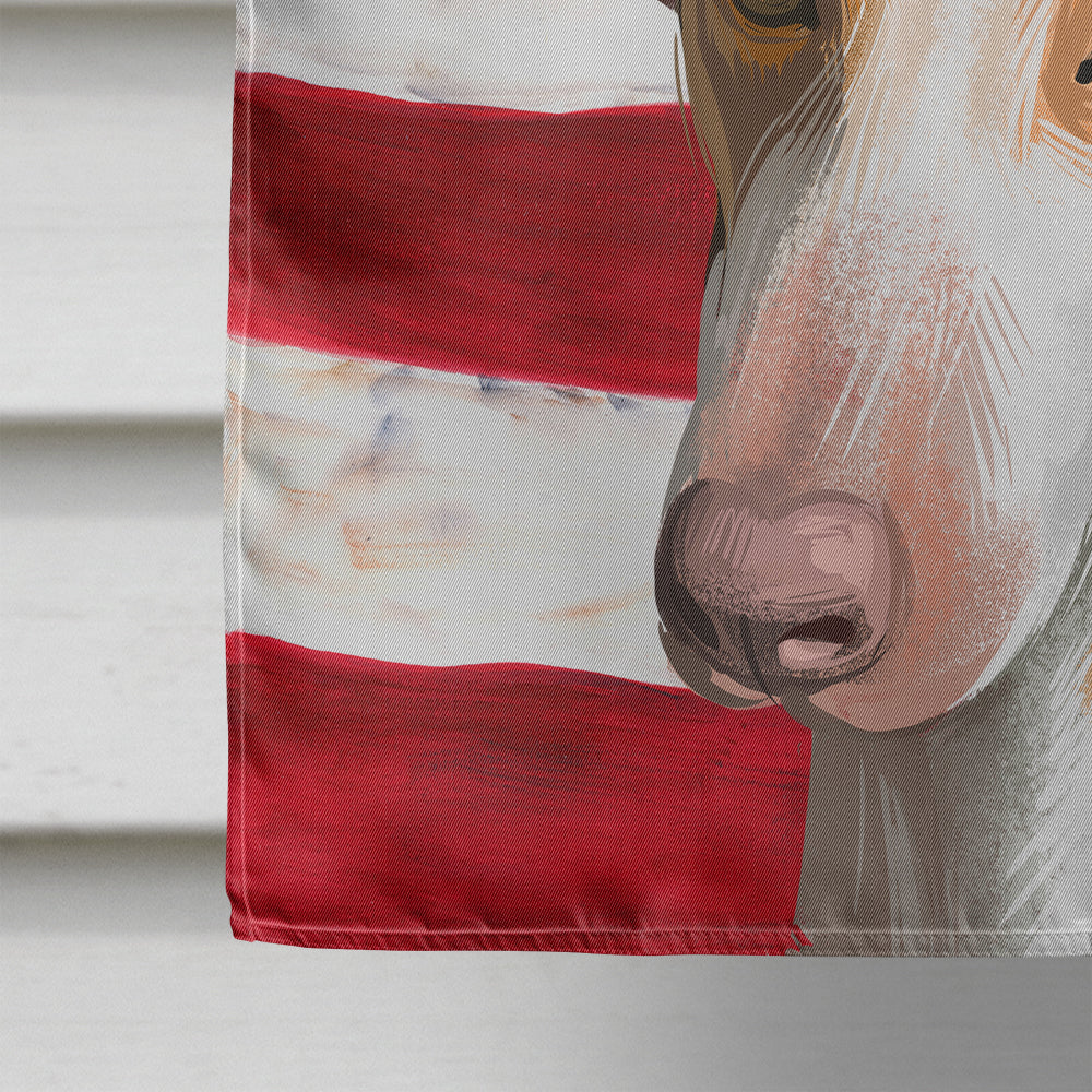 Podenco Canario Dog American Flag Flag Canvas House Size CK6648CHF