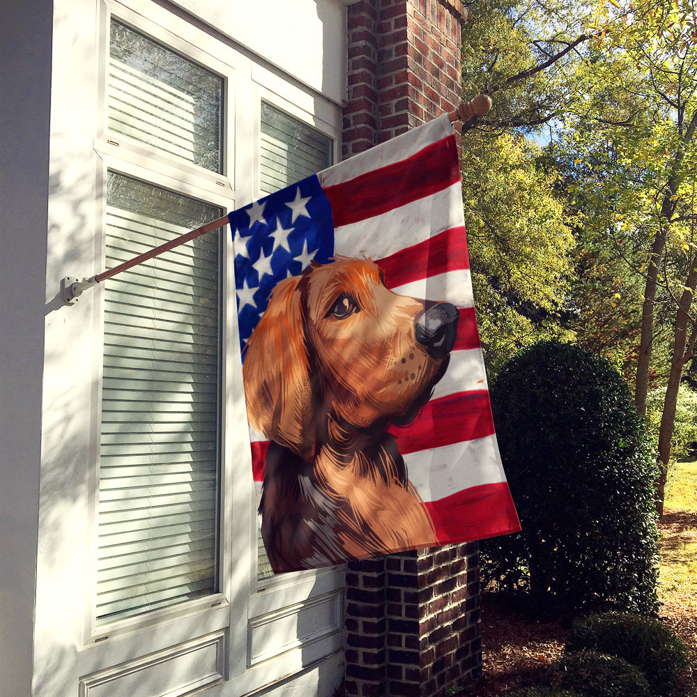 Polish Hound Dog American Flag Flag Canvas House Size CK6652CHF