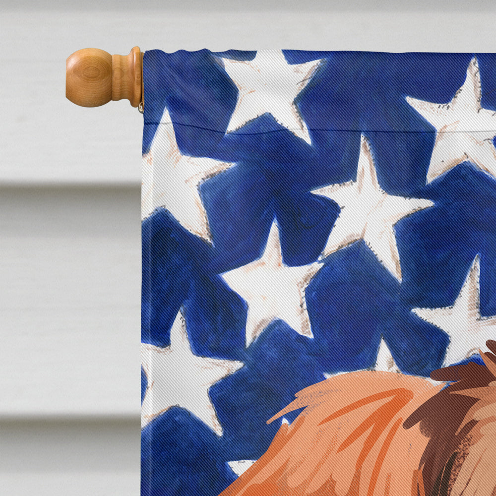 Polish Hound Dog American Flag Flag Canvas House Size CK6652CHF