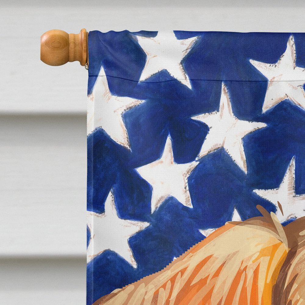 Schiller hound Dog American Flag Flag Canvas House Size CK6691CHF