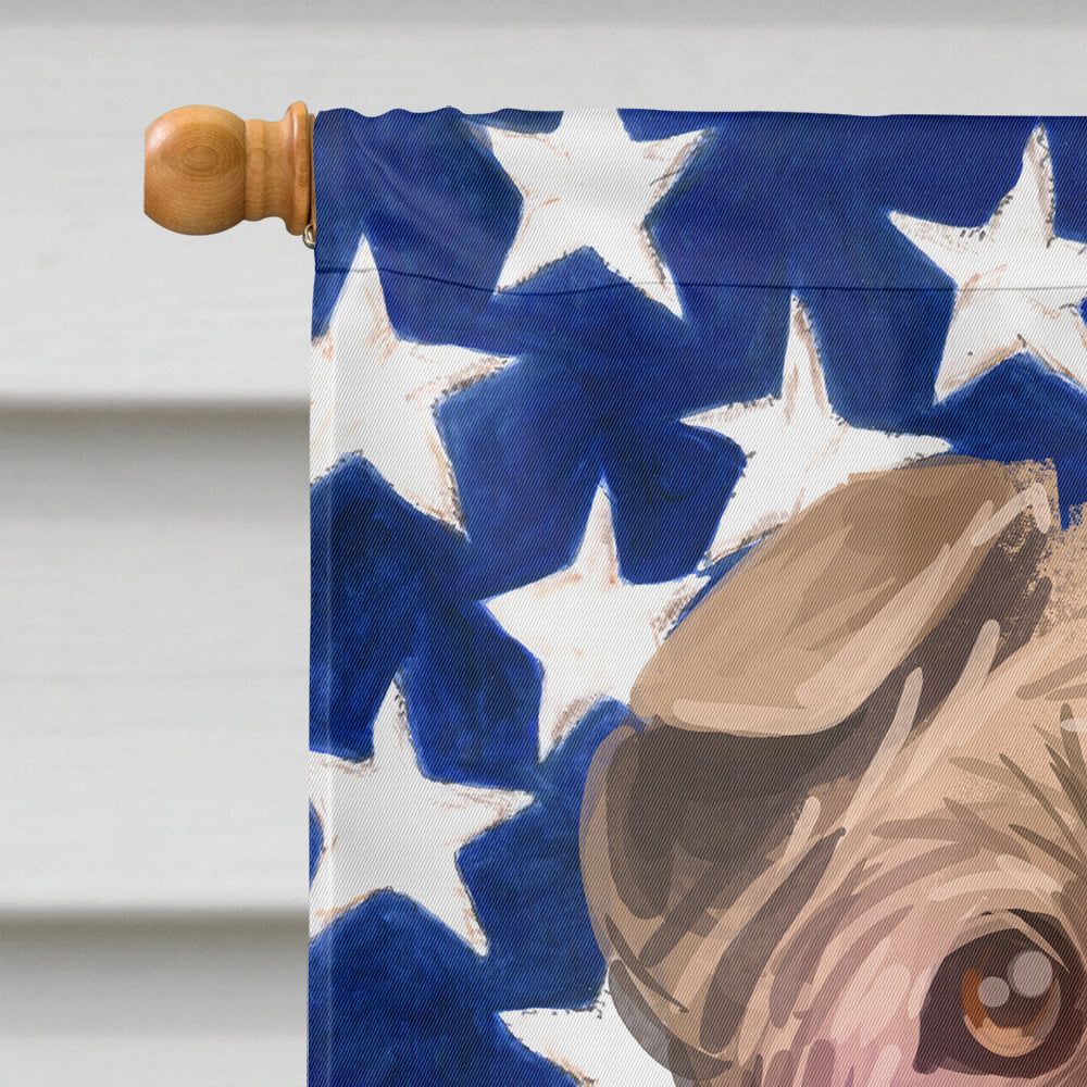 Shar Pei Dog American Flag Flag Canvas House Size CK6702CHF  the-store.com.