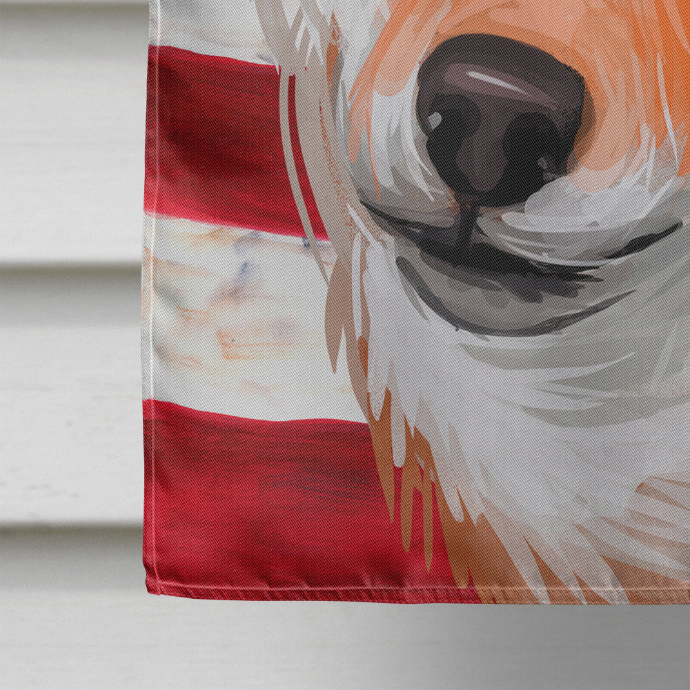 Shiba Inu Dog American Flag Flag Canvas House Size CK6704CHF  the-store.com.