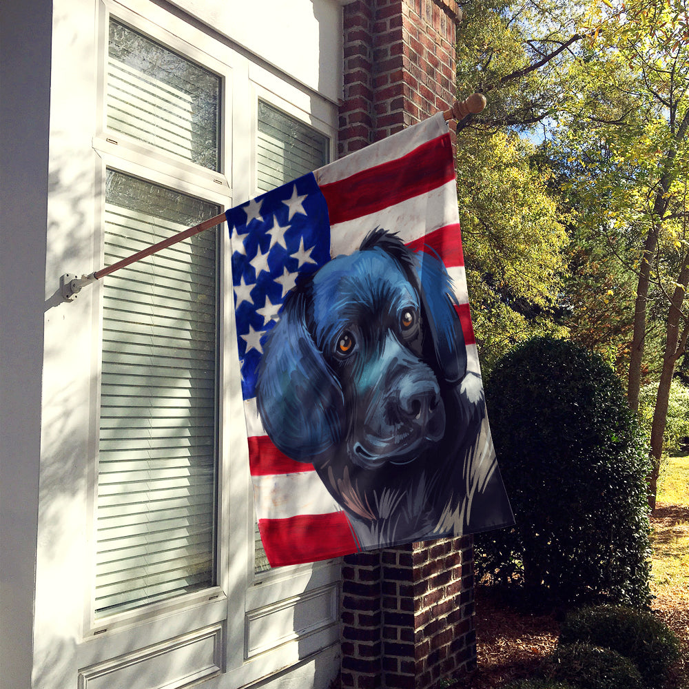 Stabyhoun Dog American Flag Flag Canvas House Size CK6723CHF