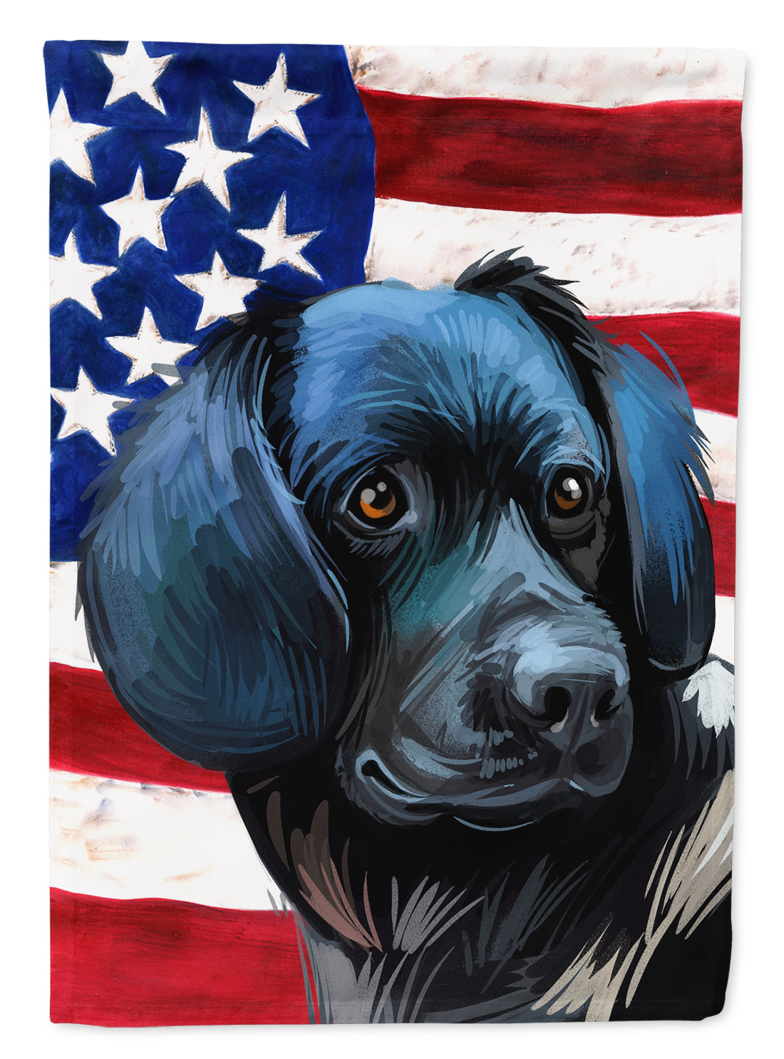 Stabyhoun Dog American Flag Flag Canvas House Size CK6723CHF