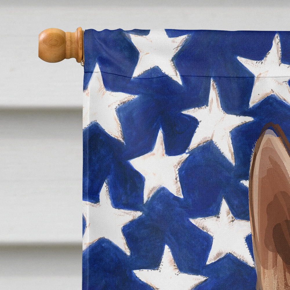 Telomian American Flag Flag Canvas House Size CK6736CHF  the-store.com.