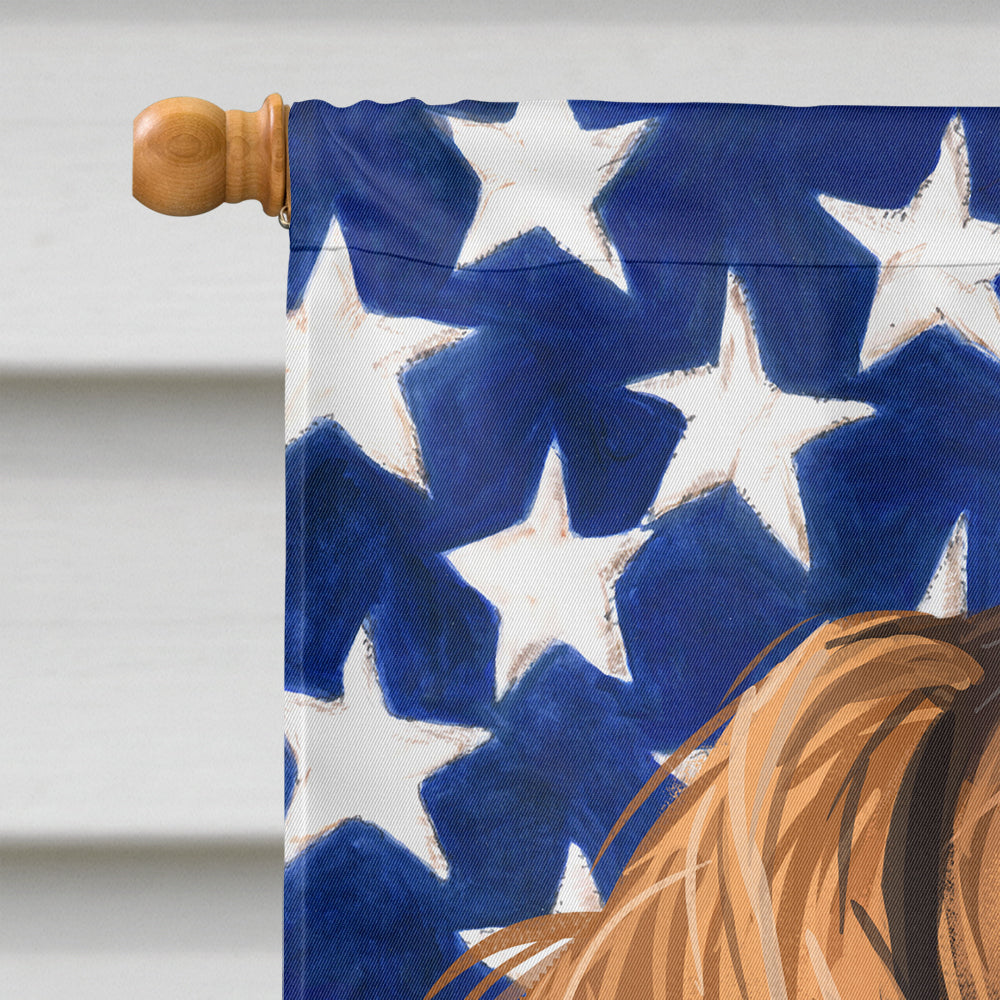 Wirehaired Vizsla American Flag Flag Canvas House Size CK6758CHF