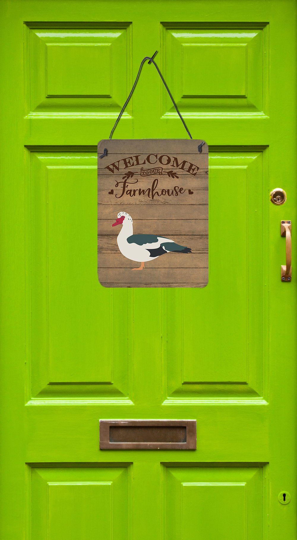 Muscovy Duck Welcome Wall or Door Hanging Prints CK6808DS1216 by Caroline's Treasures