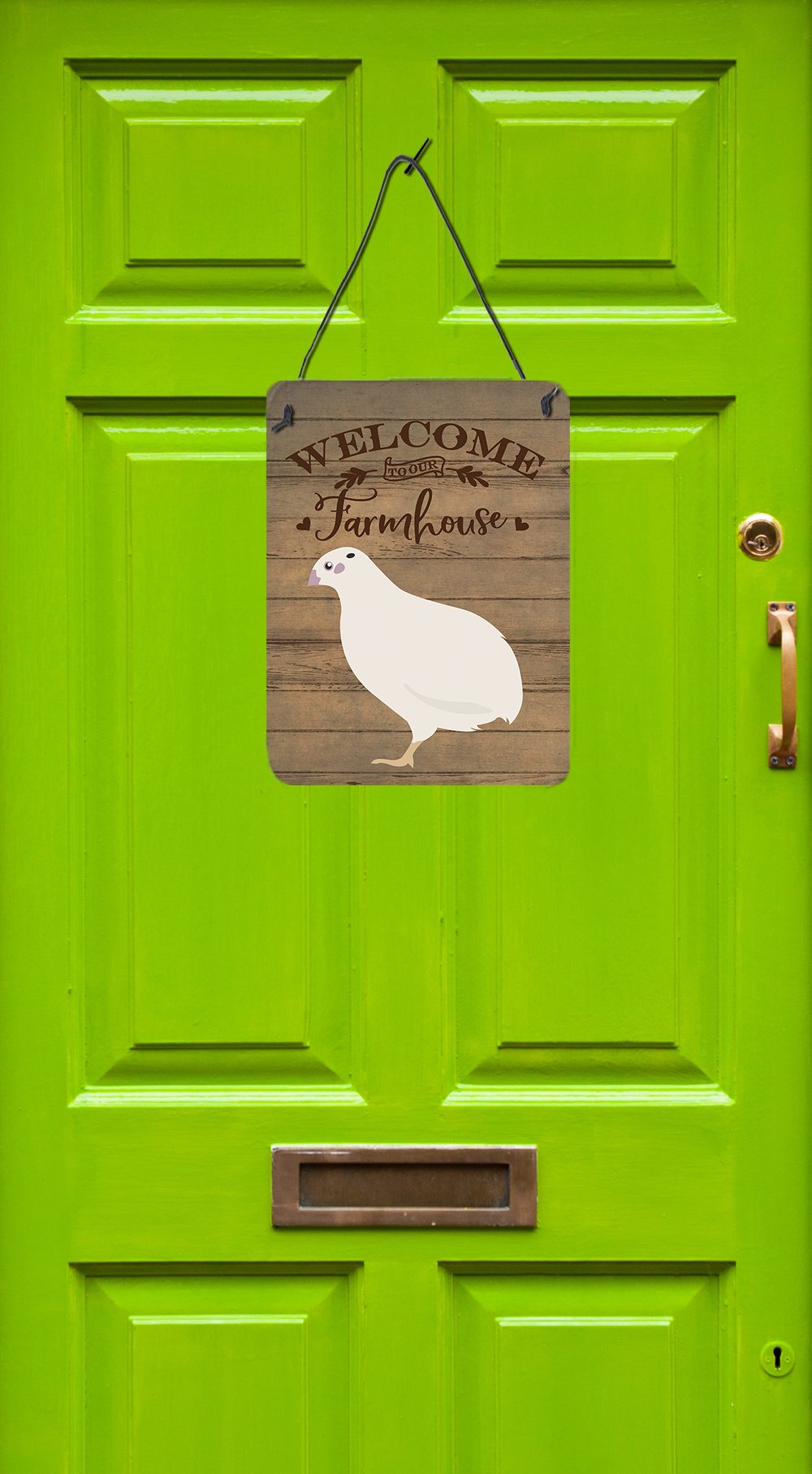 Caroline's Treasures Texas Quail Welcome Wall or Door Hanging Prints CK6901DS1216