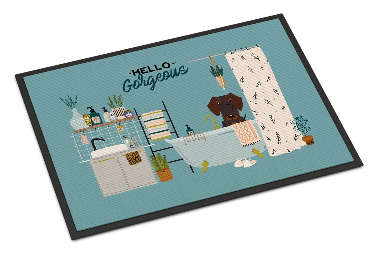 Chocolate Wire Haired Dachshund in Bathtub Indoor or Outdoor Mat 24x36 CK7551JMAT by Caroline&#39;s Treasures
