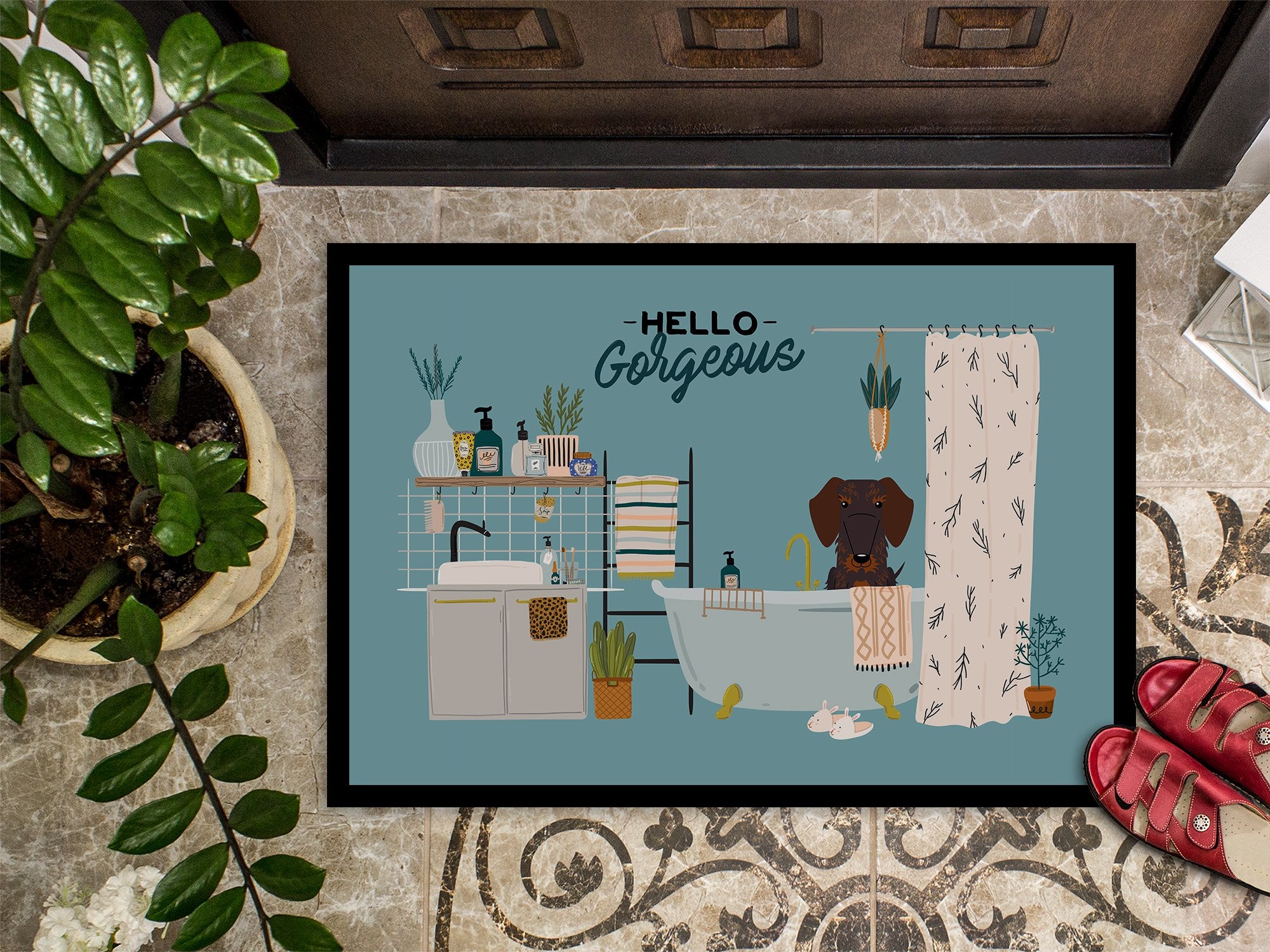 Chocolate Wire Haired Dachshund in Bathtub Indoor or Outdoor Mat 24x36 CK7551JMAT by Caroline's Treasures
