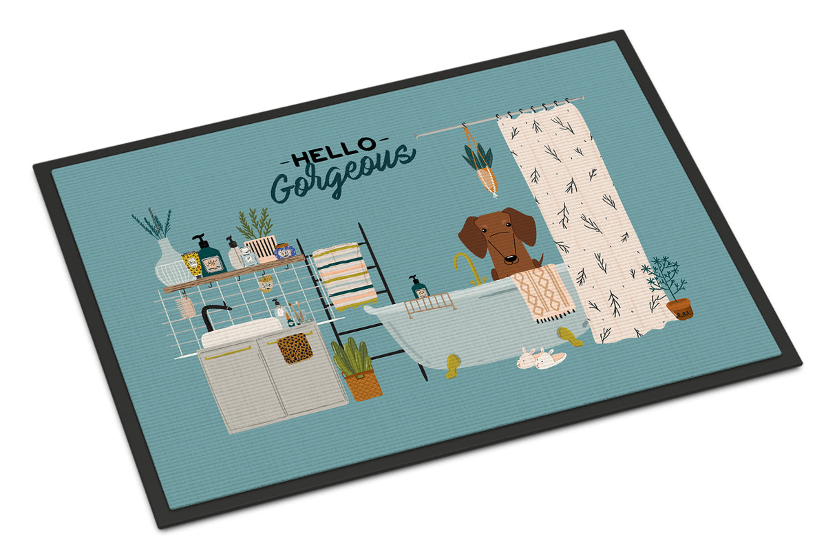Red Brown Dachshund in Bathtub Indoor or Outdoor Mat 18x27 CK7552MAT - the-store.com