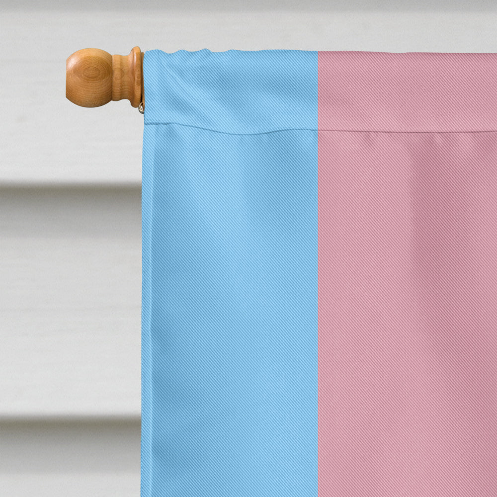 Transgender Pride Flag Canvas House Size  the-store.com.
