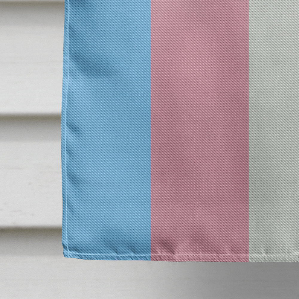 Transgender Pride Flag Canvas House Size