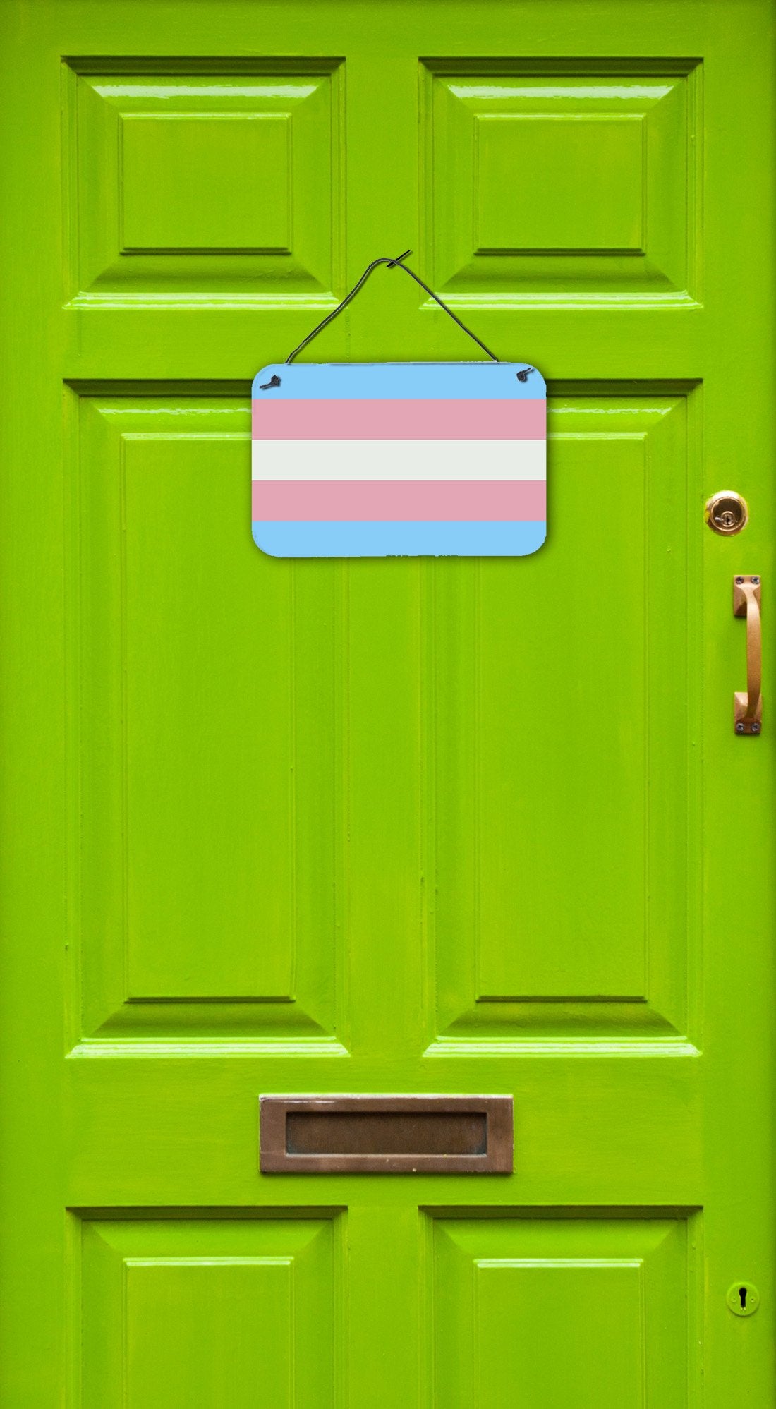 Buy this Transgender Pride Wall or Door Hanging Prints