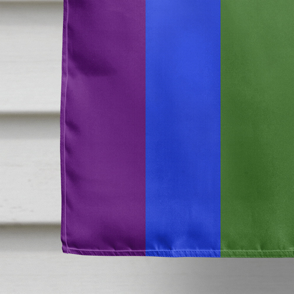 Gay Pride Flag Canvas House Size  the-store.com.