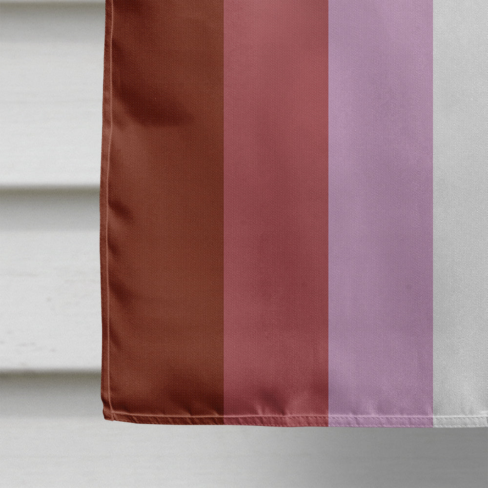 Lesbian Pride Flag Canvas House Size  the-store.com.