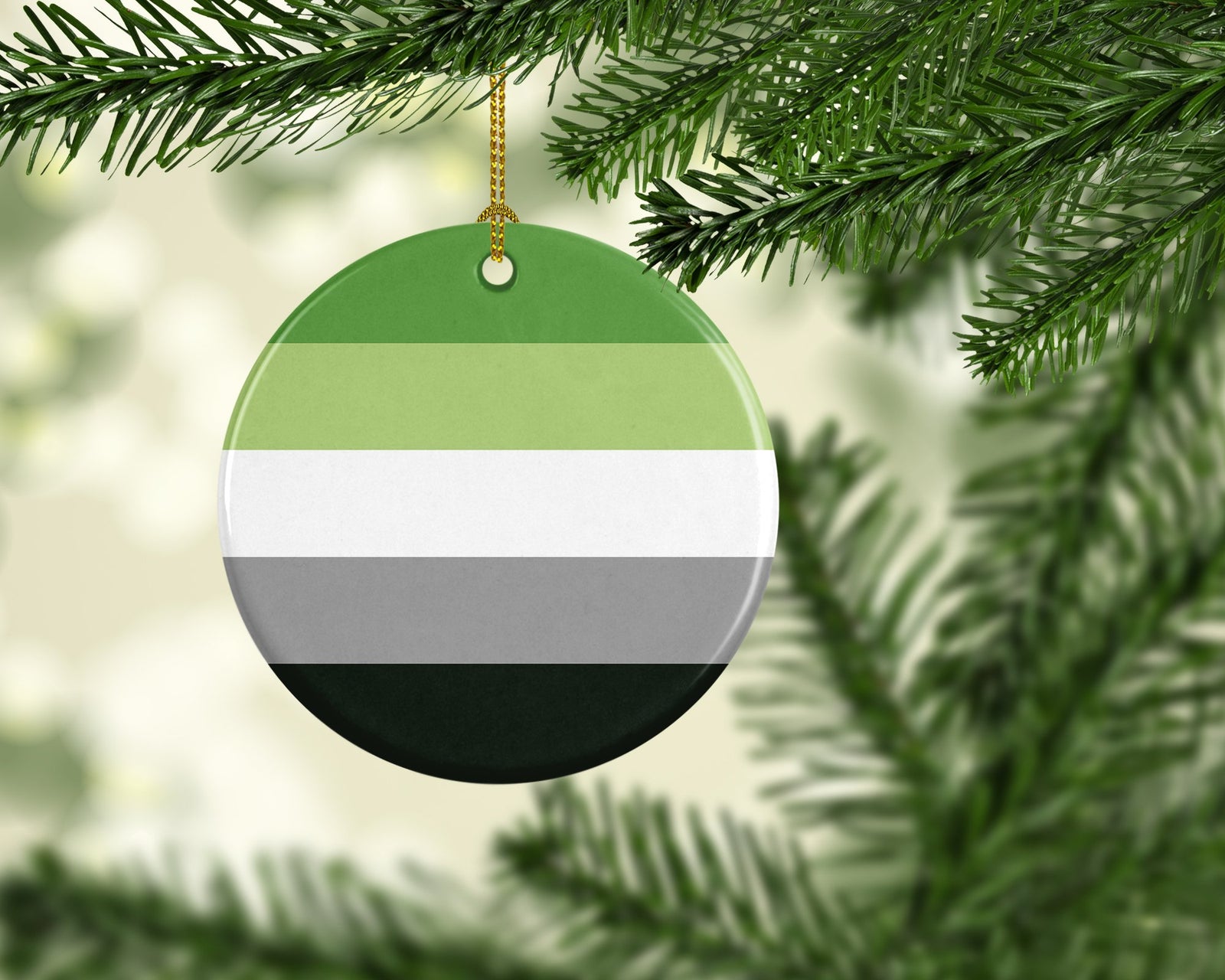 Caroline's Treasures Aronmantic Pride Ceramic Ornament