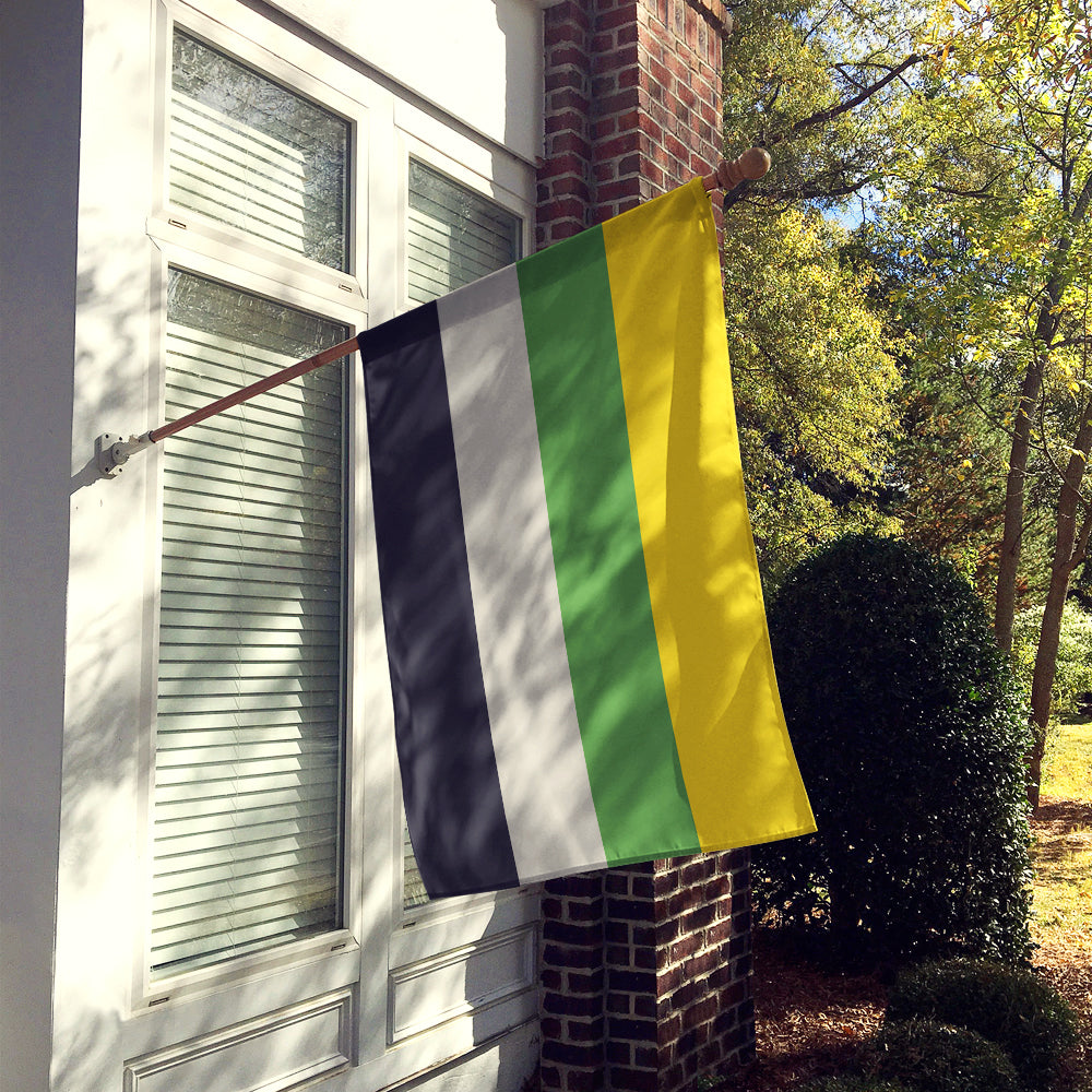 Skiliosexual Pride Flag Canvas House Size